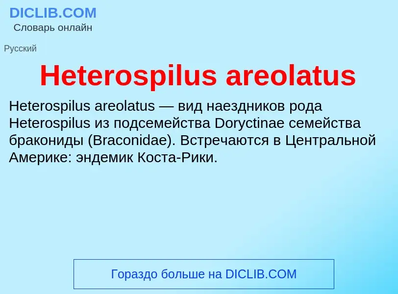 What is Heterospilus areolatus - meaning and definition