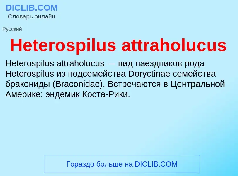 What is Heterospilus attraholucus - meaning and definition