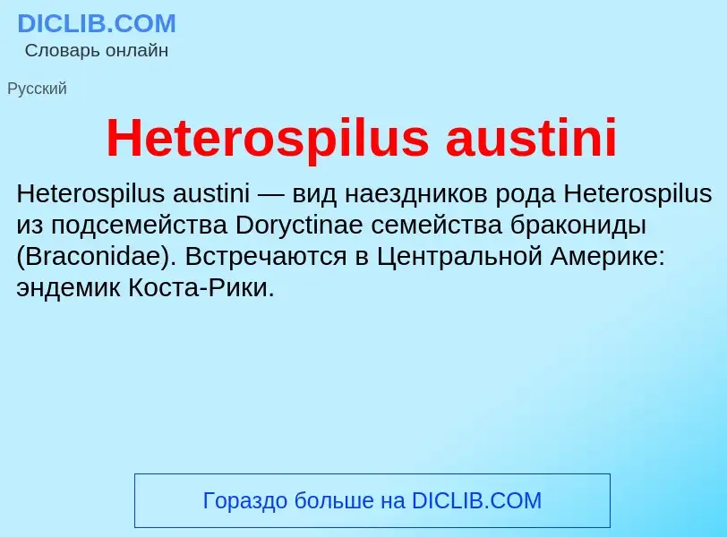 What is Heterospilus austini - meaning and definition