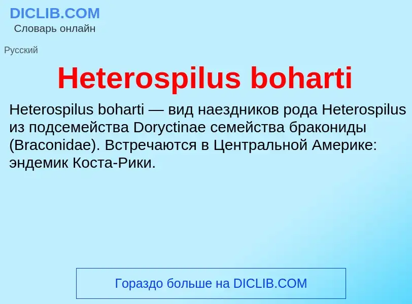 What is Heterospilus boharti - meaning and definition