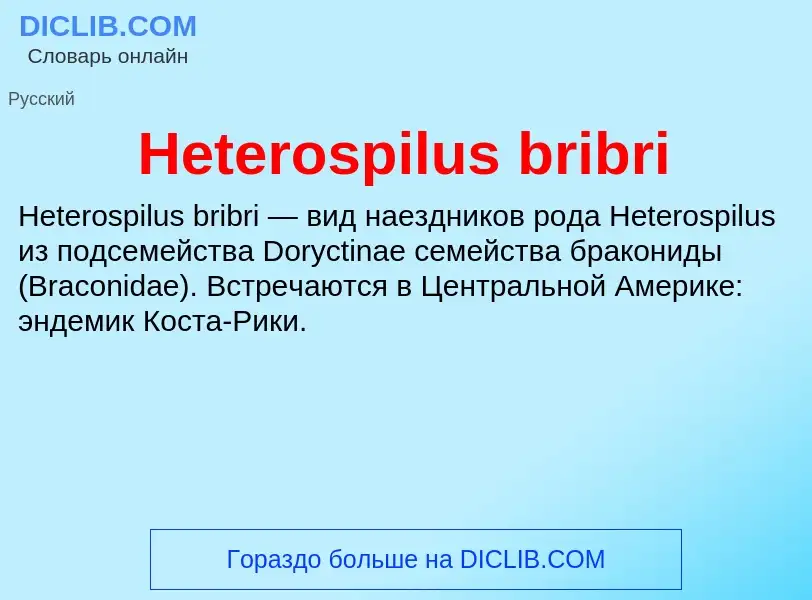 What is Heterospilus bribri - meaning and definition