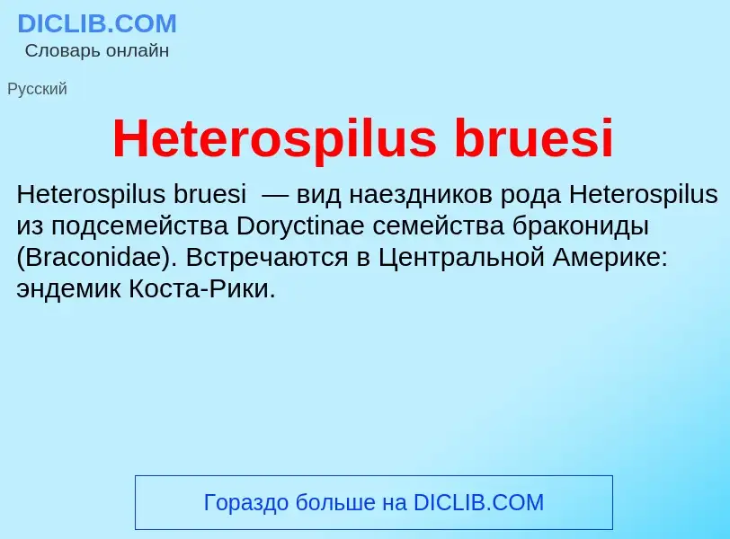 What is Heterospilus bruesi - meaning and definition