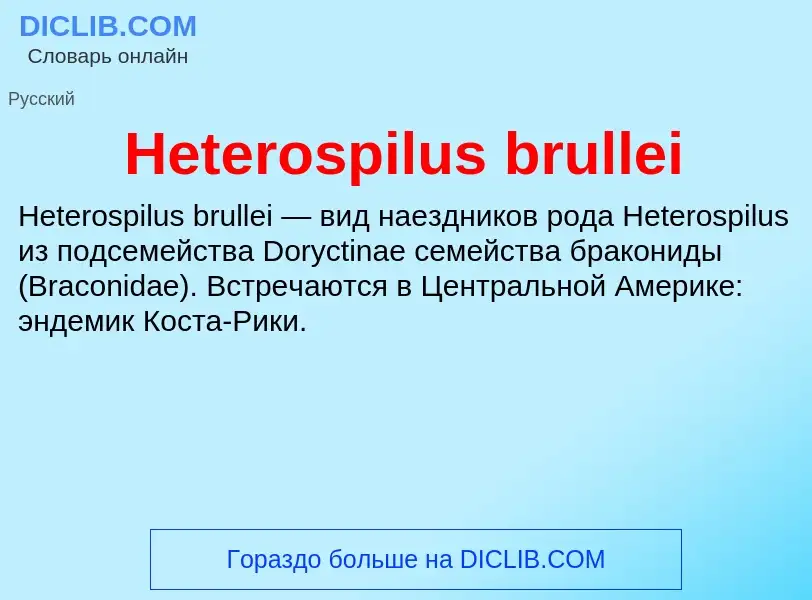 What is Heterospilus brullei - meaning and definition