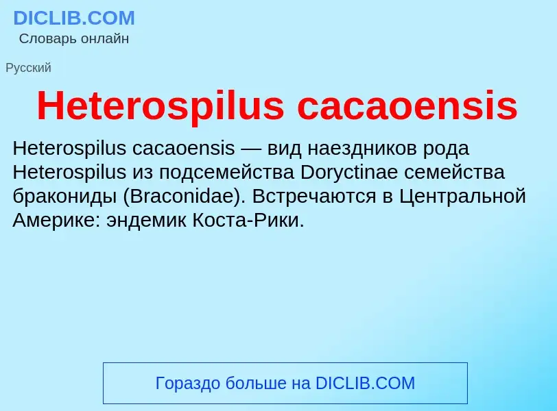 What is Heterospilus cacaoensis - meaning and definition