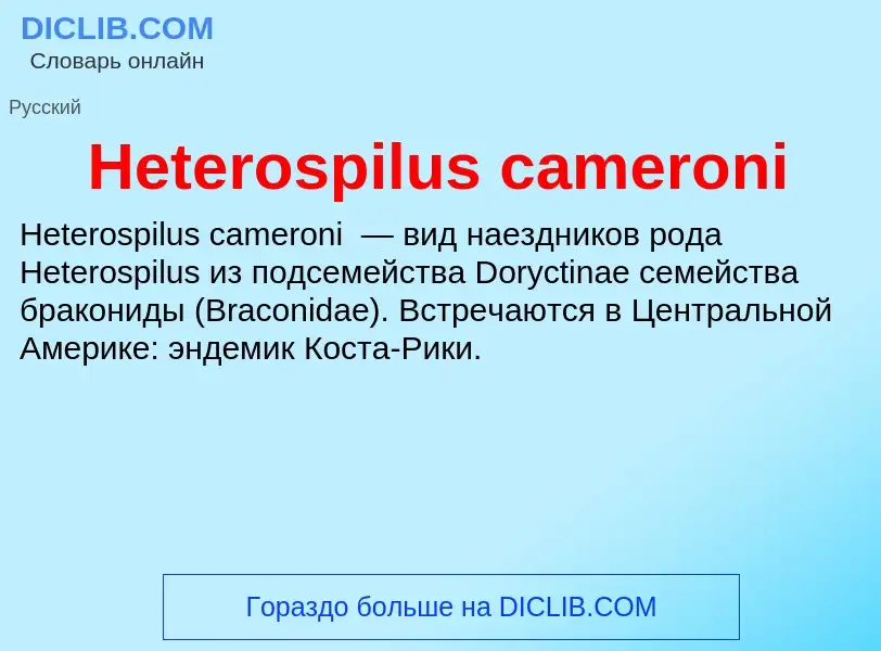 What is Heterospilus cameroni - meaning and definition