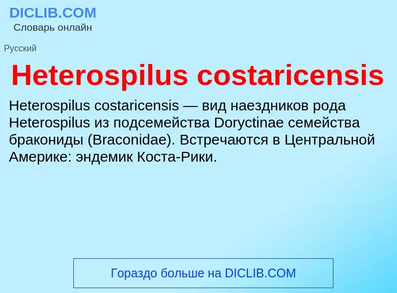 What is Heterospilus costaricensis - meaning and definition