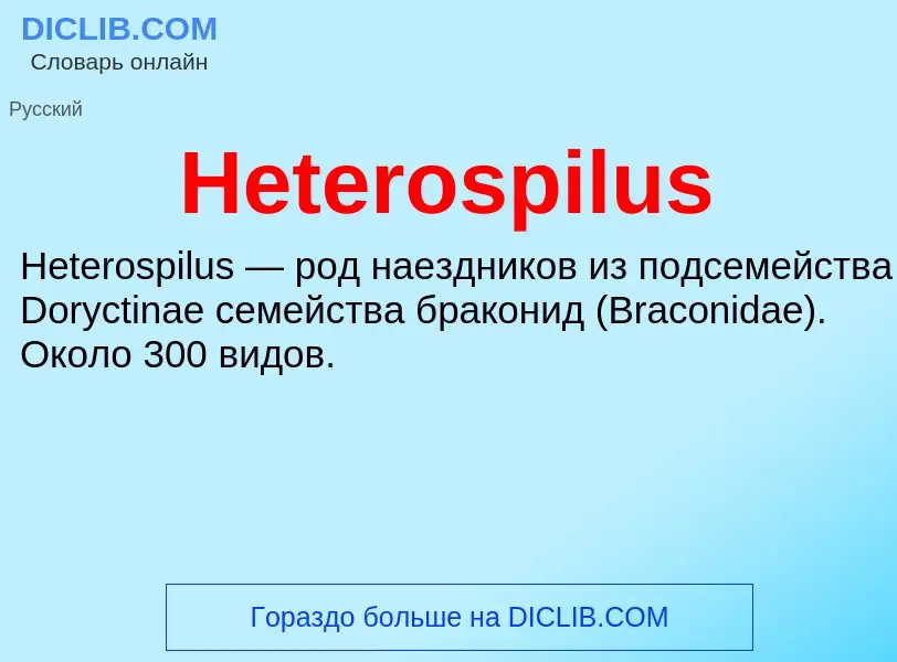 What is Heterospilus - meaning and definition