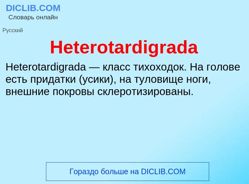 What is Heterotardigrada - meaning and definition