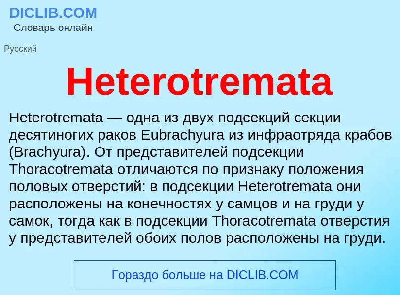 What is Heterotremata - meaning and definition