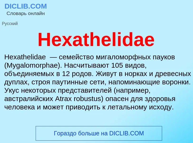 What is Hexathelidae - meaning and definition