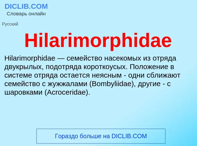 What is Hilarimorphidae - meaning and definition