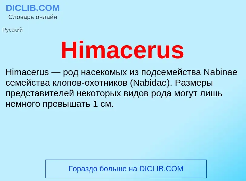 What is Himacerus - meaning and definition