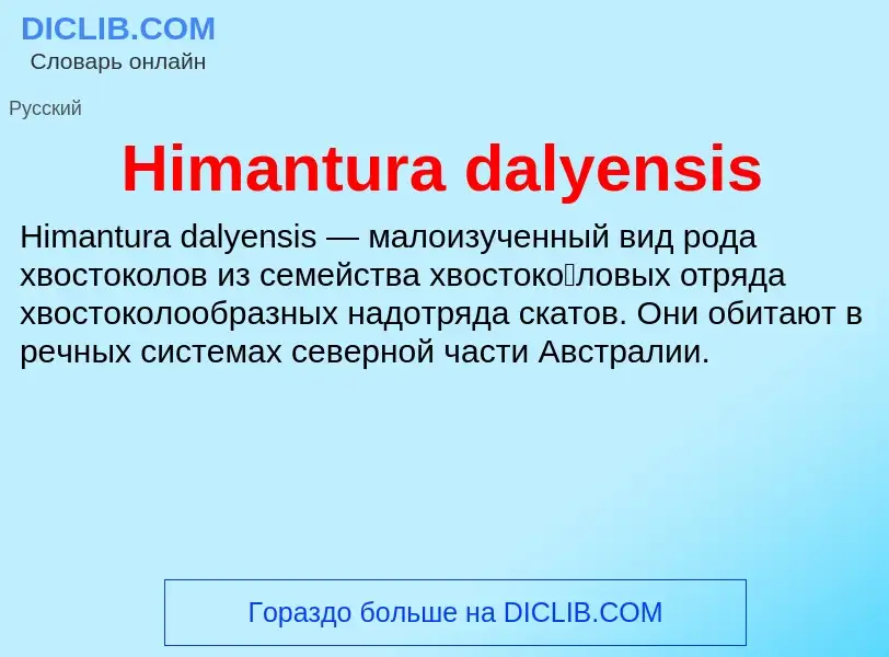 What is Himantura dalyensis - meaning and definition