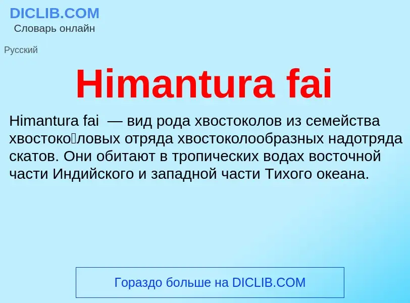 What is Himantura fai - meaning and definition