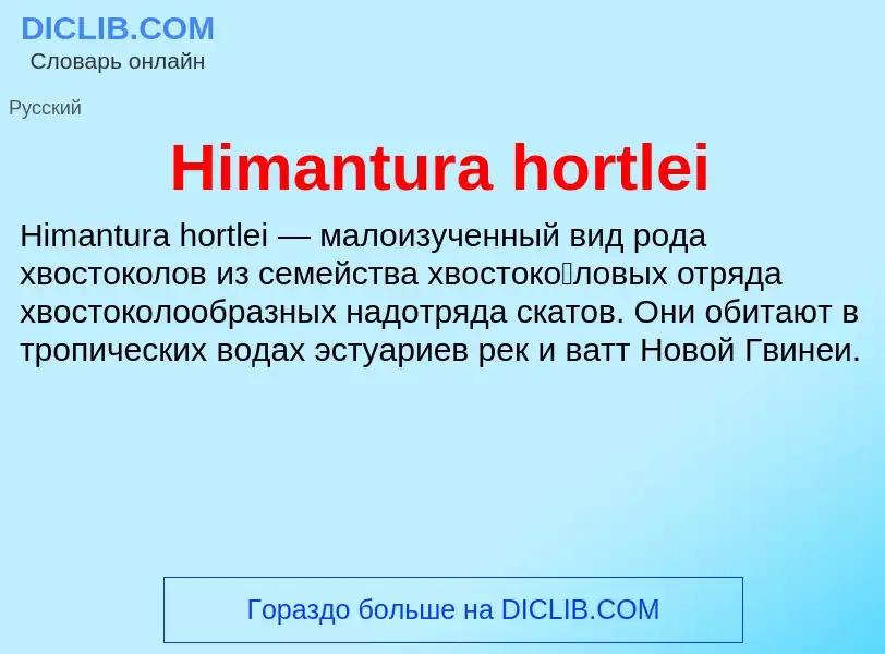 What is Himantura hortlei - meaning and definition