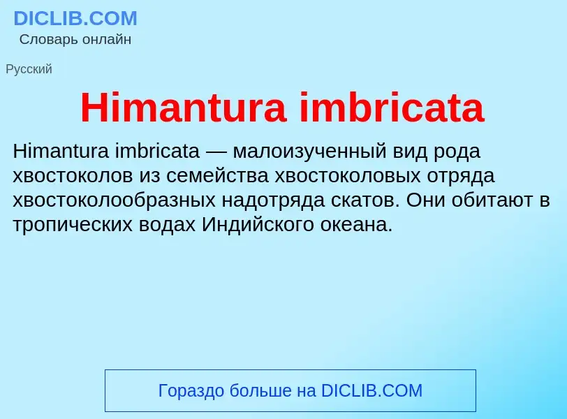 What is Himantura imbricata - meaning and definition