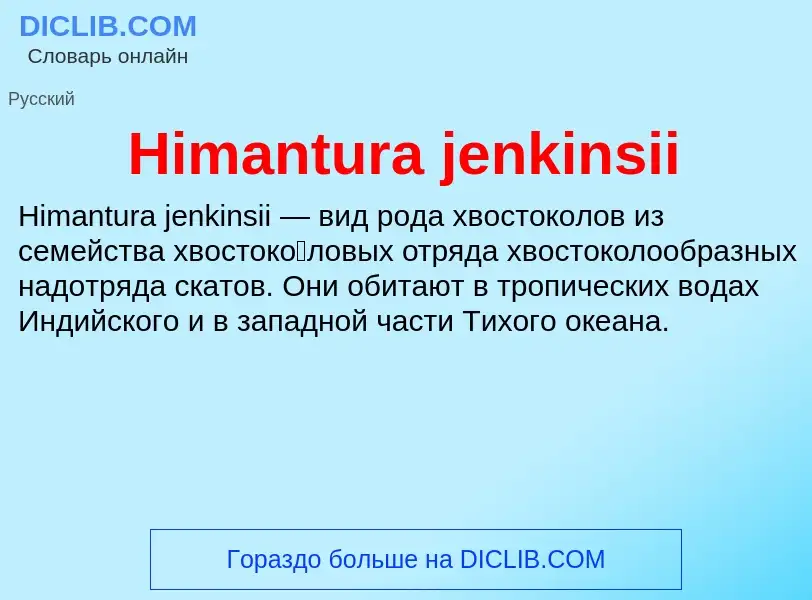 What is Himantura jenkinsii - meaning and definition