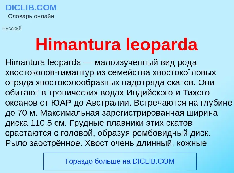 What is Himantura leoparda - meaning and definition