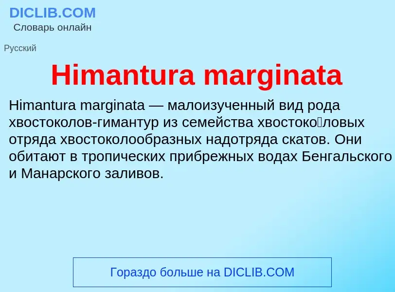 What is Himantura marginata - meaning and definition