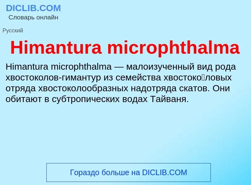 What is Himantura microphthalma - meaning and definition