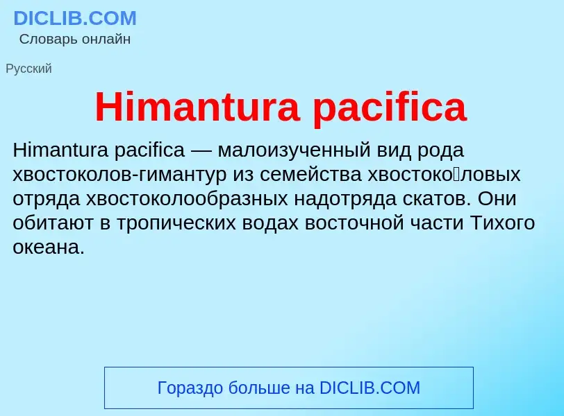 What is Himantura pacifica - meaning and definition