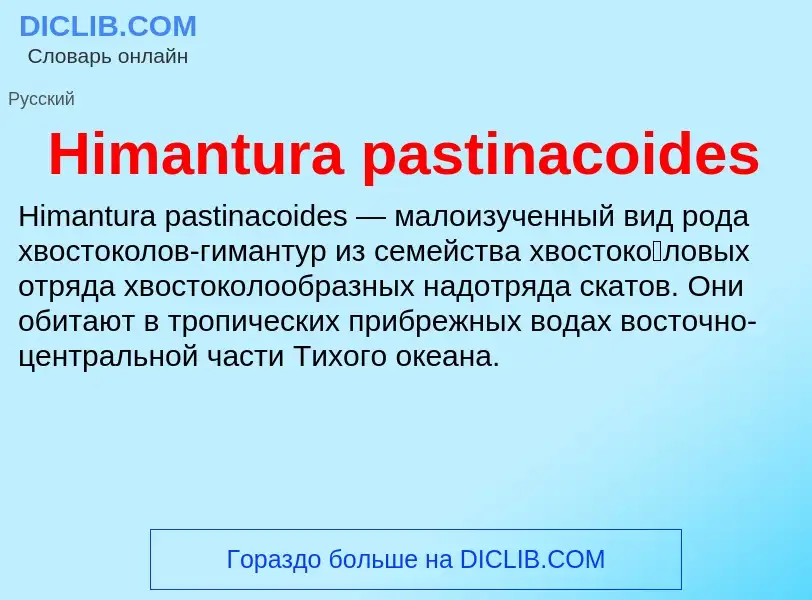 What is Himantura pastinacoides - meaning and definition