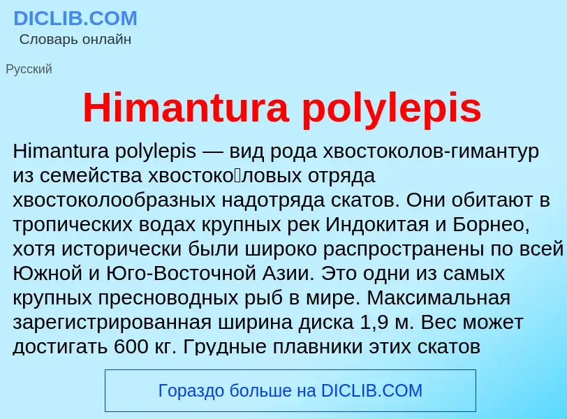 What is Himantura polylepis - meaning and definition