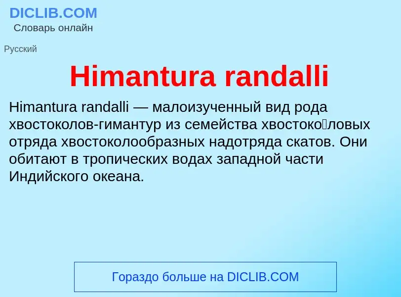 What is Himantura randalli - meaning and definition