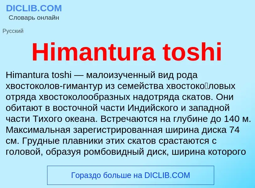 What is Himantura toshi - meaning and definition