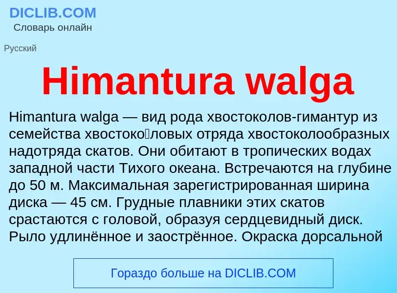 What is Himantura walga - meaning and definition