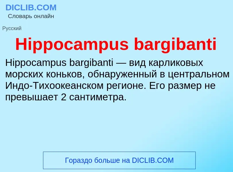 What is Hippocampus bargibanti - meaning and definition