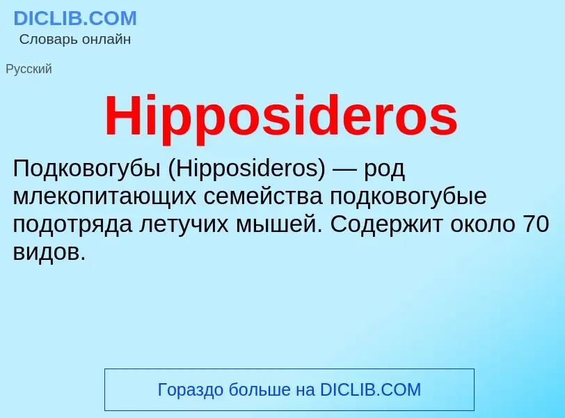 What is Hipposideros - meaning and definition