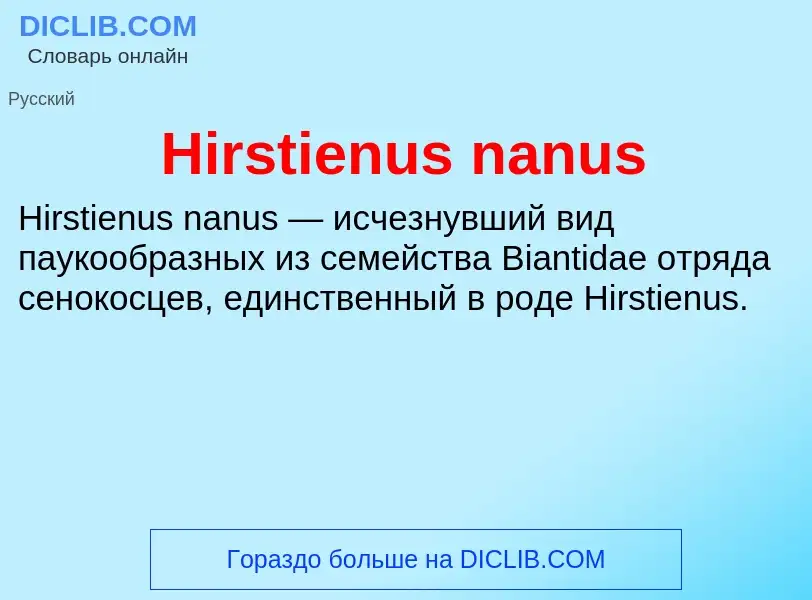 What is Hirstienus nanus - meaning and definition