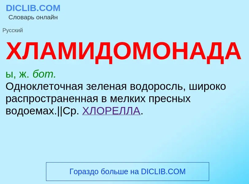 Что такое ХЛАМИДОМОНАДА - определение