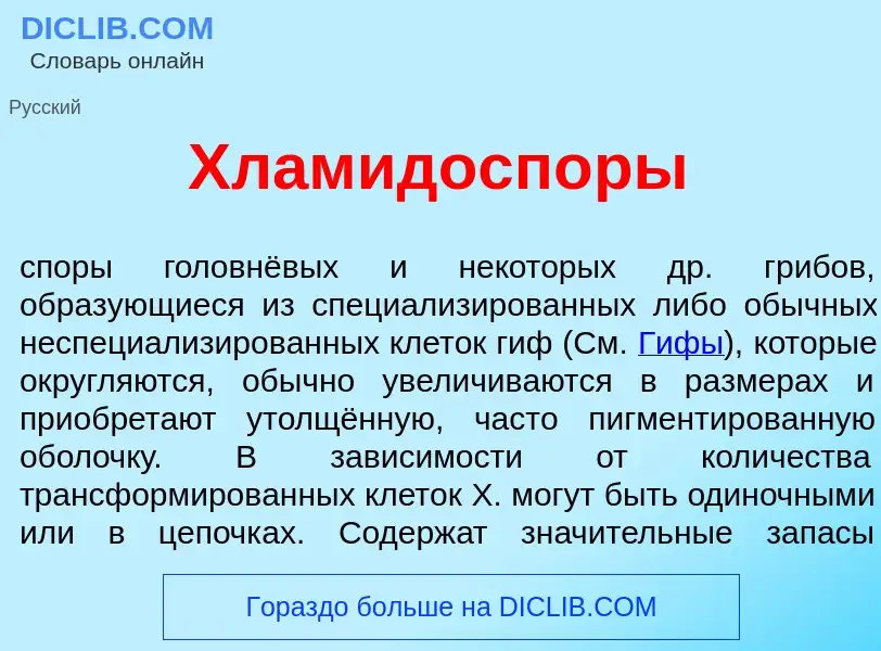 Что такое Хламидосп<font color="red">о</font>ры - определение