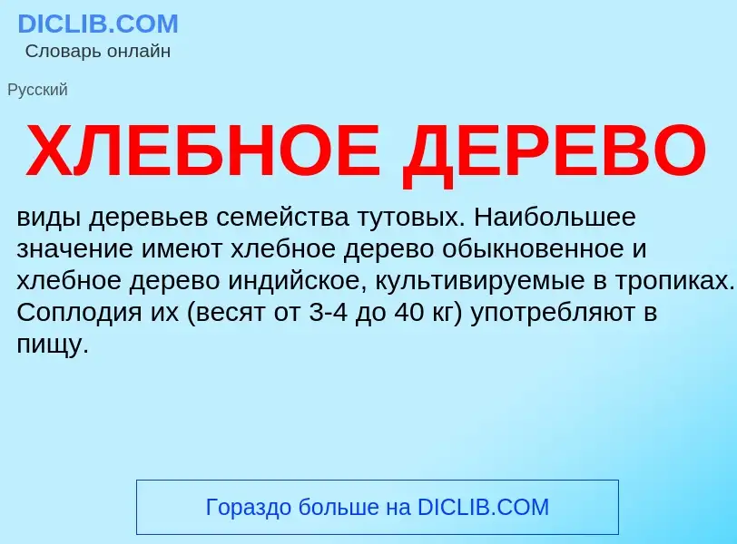 What is ХЛЕБНОЕ ДЕРЕВО - definition