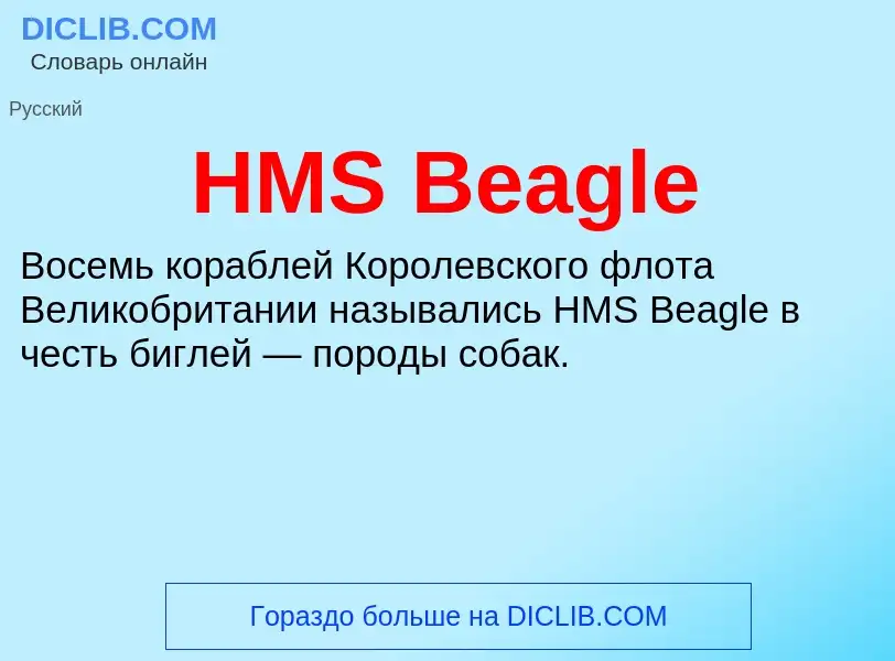 Что такое HMS Beagle - определение