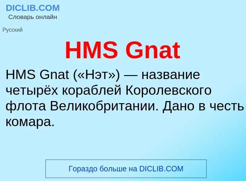 Was ist HMS Gnat - Definition