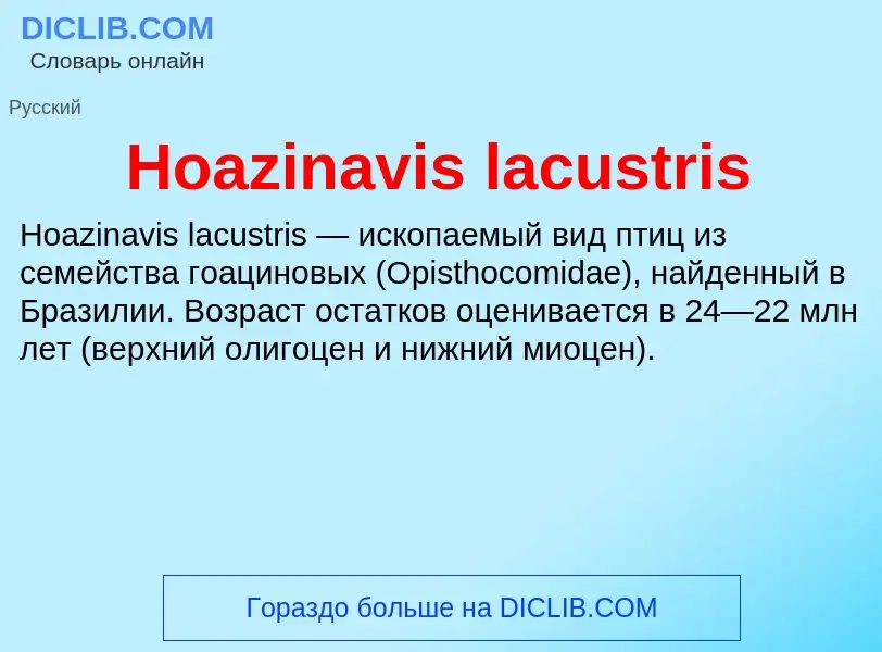 What is Hoazinavis lacustris - definition