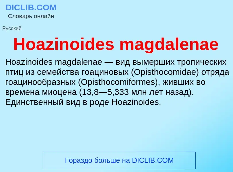 What is Hoazinoides magdalenae - definition