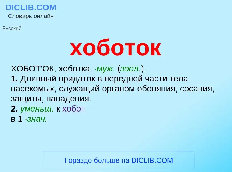 Что такое хоботок - определение