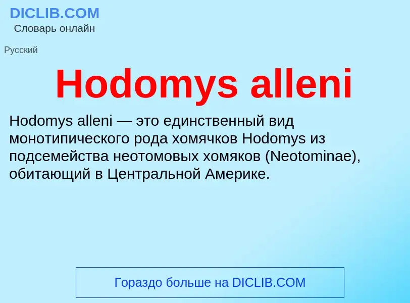 What is Hodomys alleni - meaning and definition