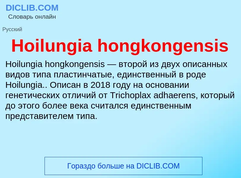 What is Hoilungia hongkongensis - definition