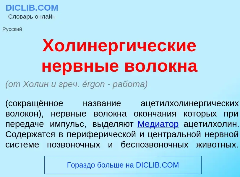 Wat is Холинерг<font color="red">и</font>ческие н<font color="red">е</font>рвные вол<font color="red