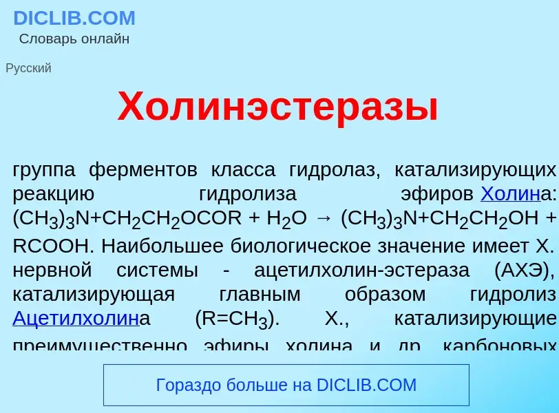 What is Холинэстер<font color="red">а</font>зы - meaning and definition