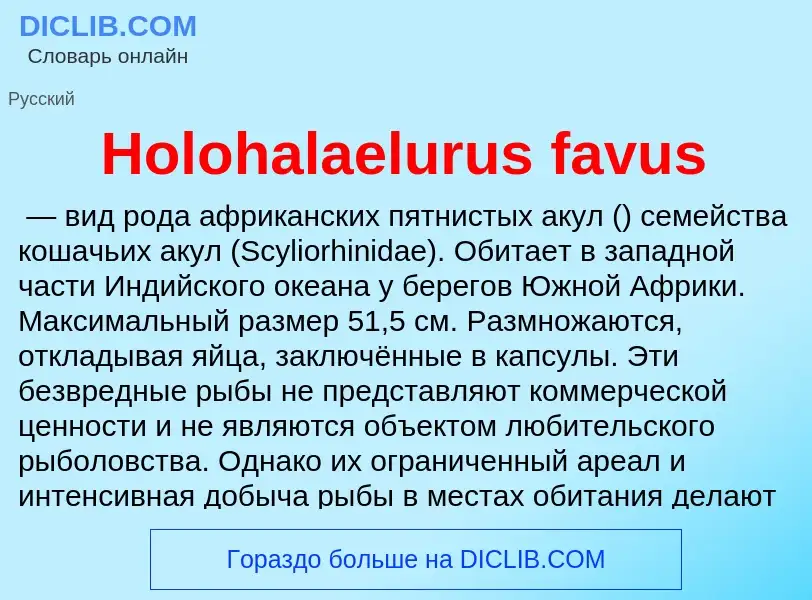 What is Holohalaelurus favus - meaning and definition