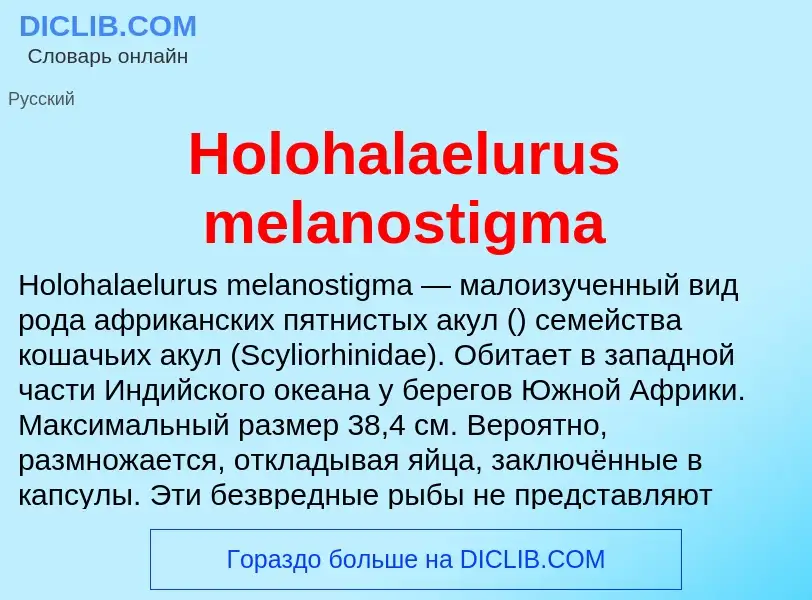 What is Holohalaelurus melanostigma - definition