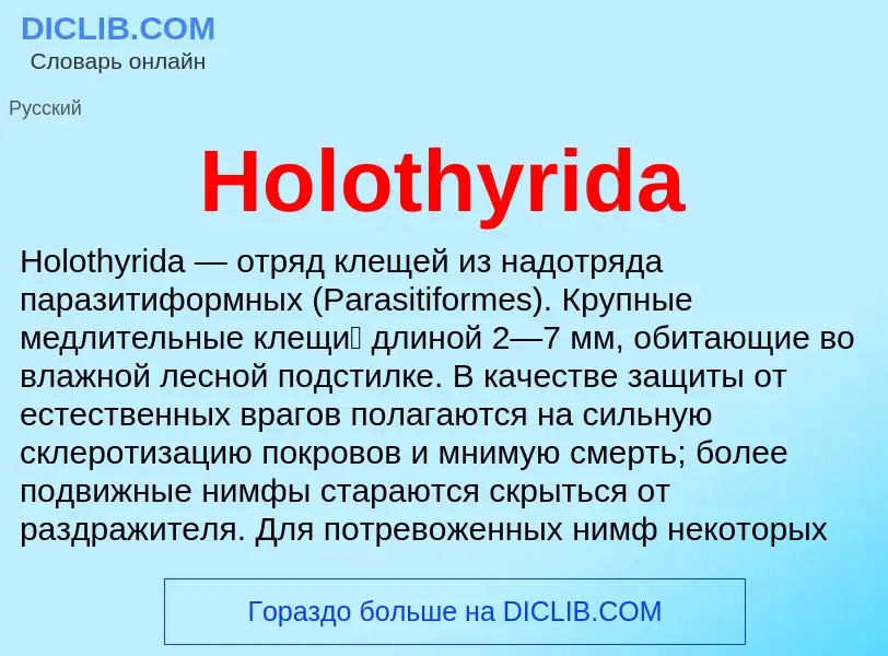 What is Holothyrida - meaning and definition