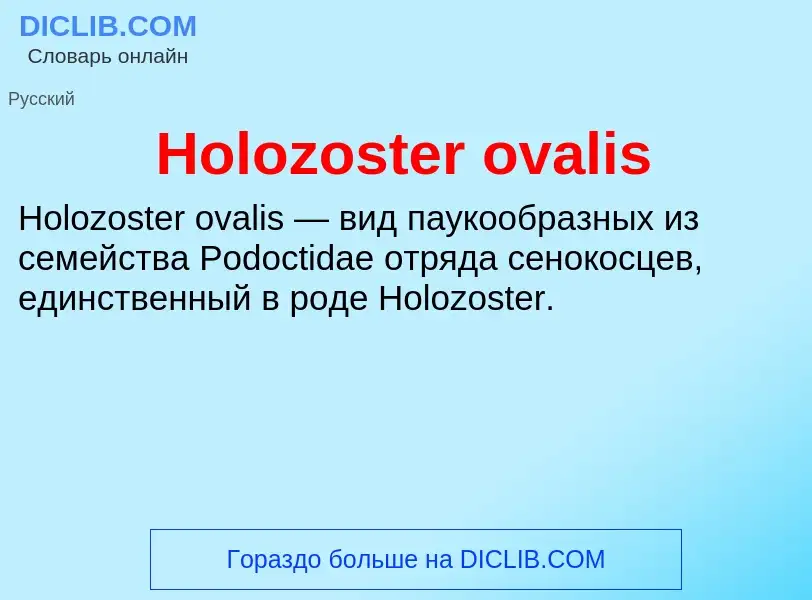 What is Holozoster ovalis - definition