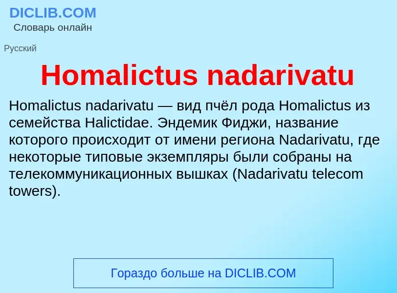 What is Homalictus nadarivatu - meaning and definition